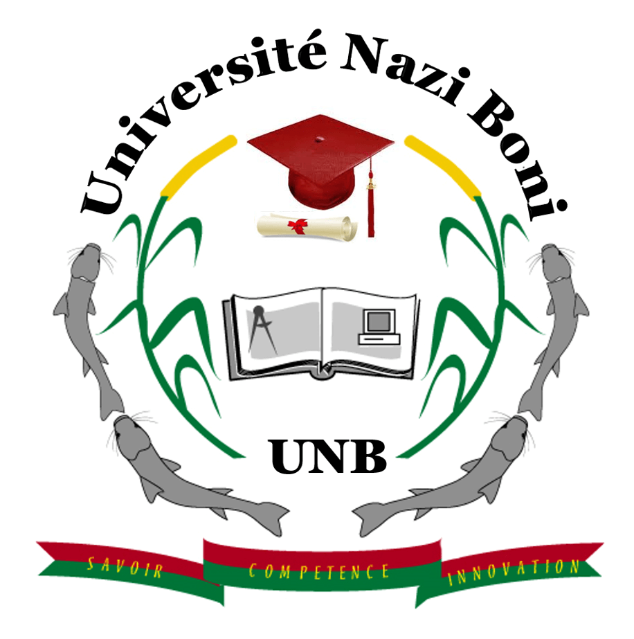 Nazi Boni University
