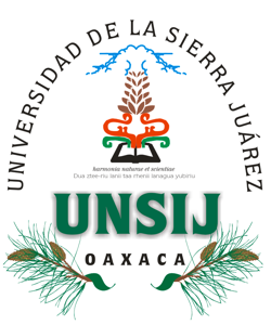 Universidad de la Sierra Sur