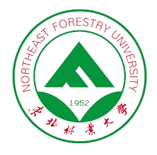Northeast Forestry University
