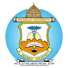 Sri Balaji Vidyapeeth